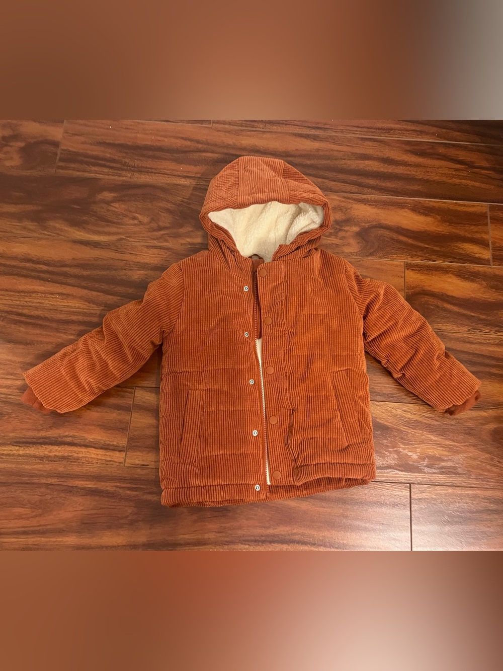 Cat & Jacket Coat